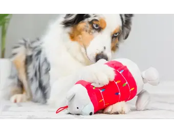 Huxley & Kent Lulubelles Holiday Deck the Bear