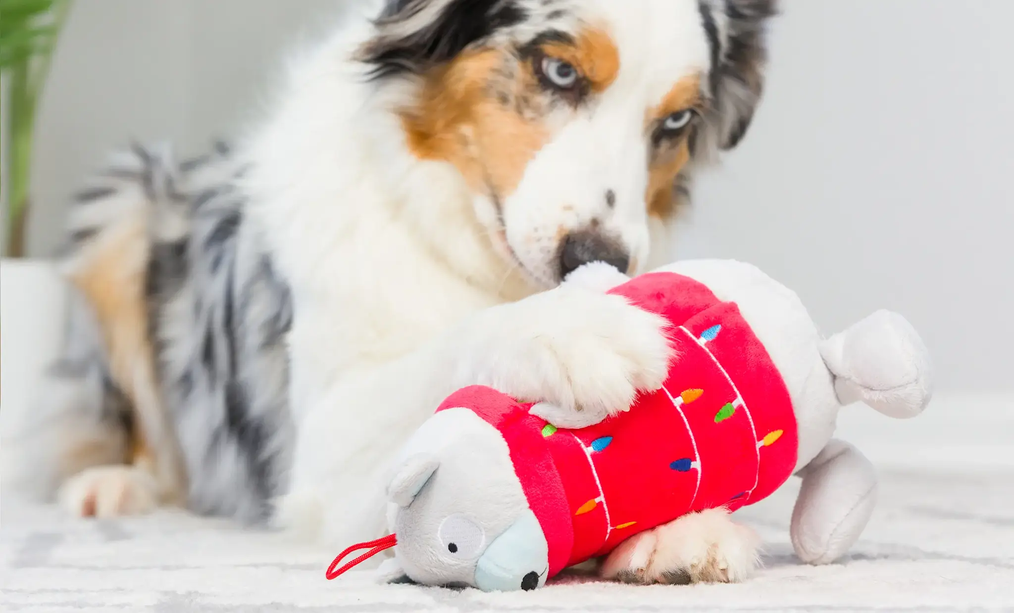 Huxley & Kent Lulubelles Holiday Deck the Bear