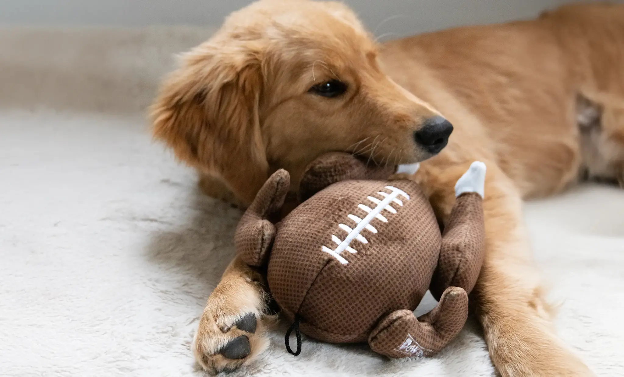 Huxley & Kent Lulubelles Holiday Turkey Bowl