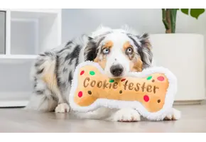 Huxley & Kent Lulubelles Holiday Cookie Tester Bone Large