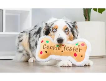 Huxley & Kent Lulubelles Holiday Cookie Tester Bone Large