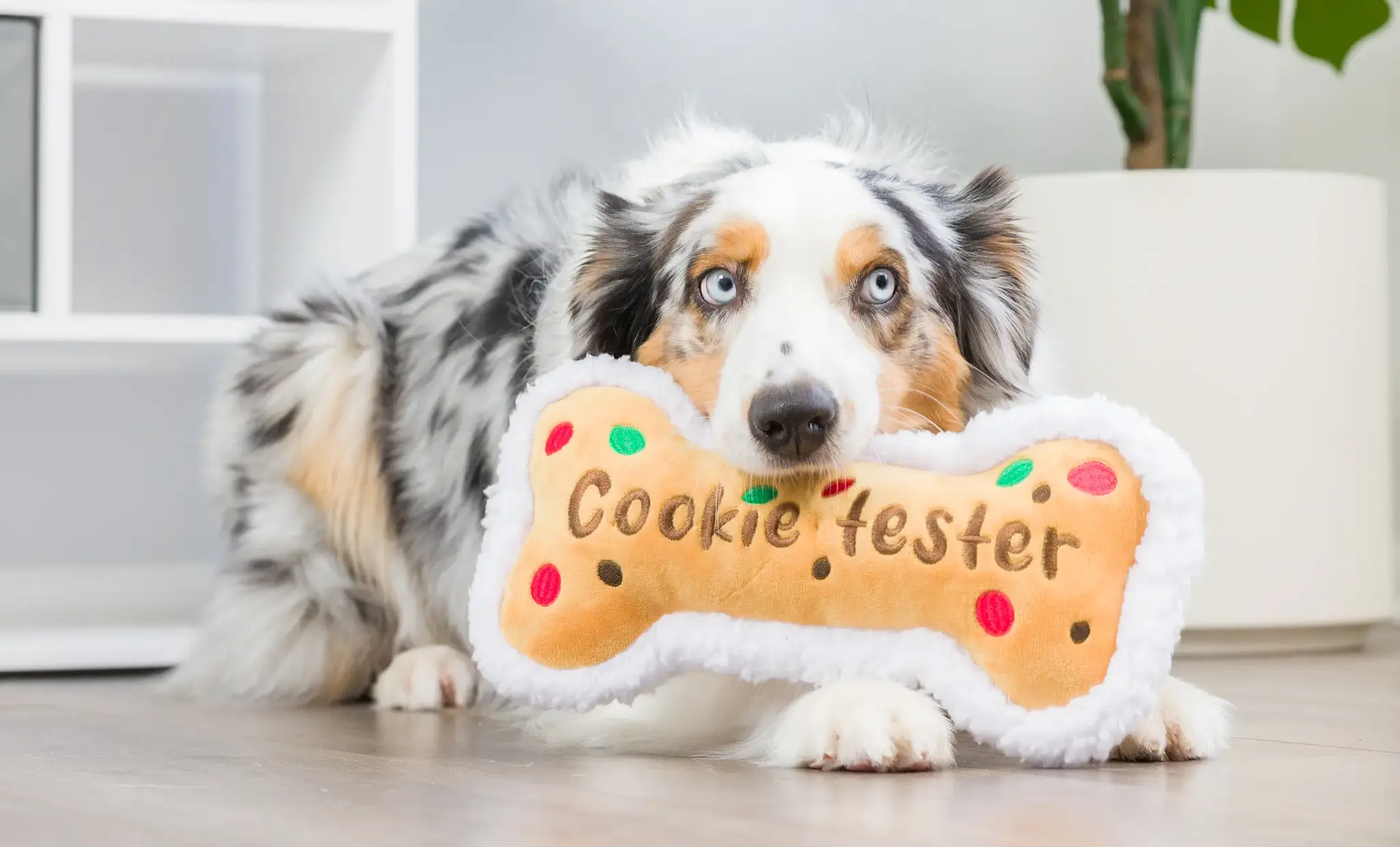 Huxley & Kent Lulubelles Holiday Cookie Tester Bone Large