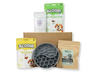 Bark Friday Classic Gift Box