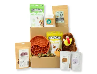 Bark Friday Premium Gift Box M/L
