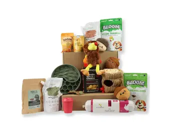 Bark Friday DeLuxe Gift Box S