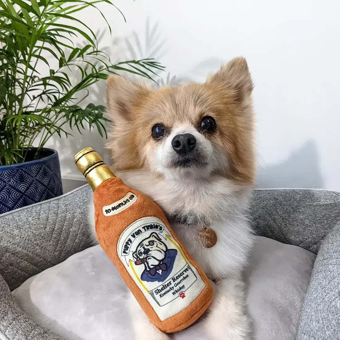 Huxley & Kent Lulubelles Puppy Van Tinkles