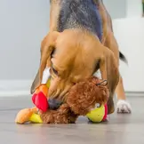 Huxley & Kent Lulubelles Wishbone Turkey