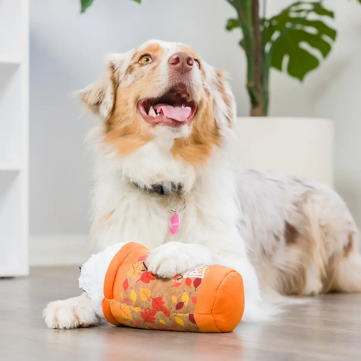 Huxley & Kent Lulubelles Puggin Spice Latte