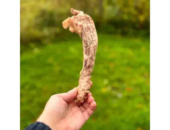 Hokuō® Extra Gevriesdroogde Kippennek