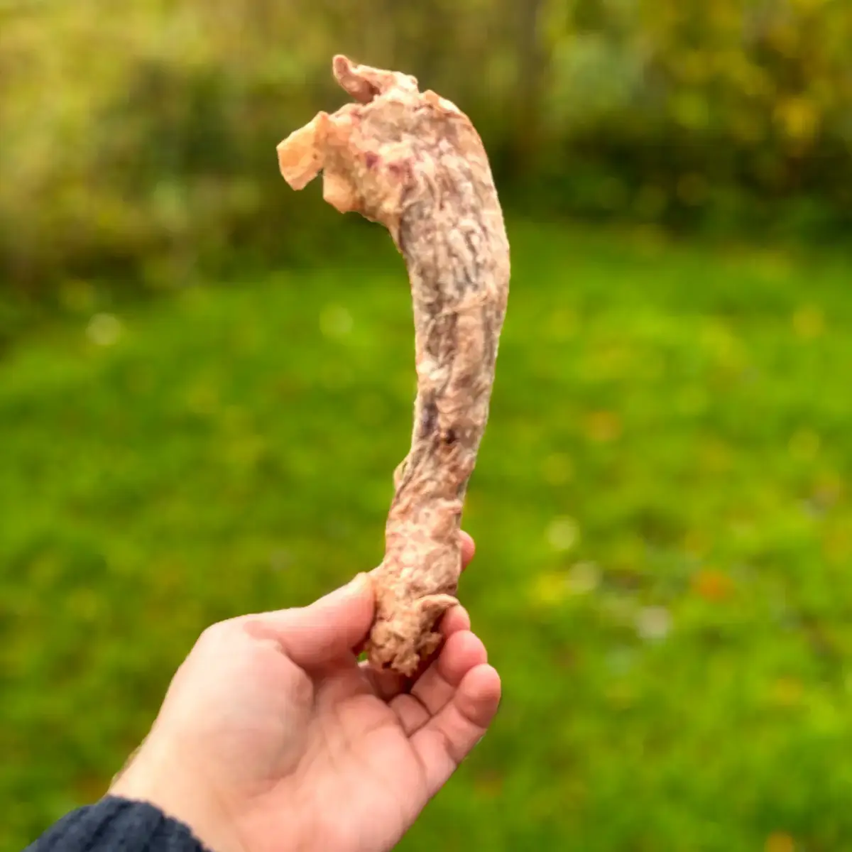 Hokuō® Extra Gevriesdroogde Kippennek