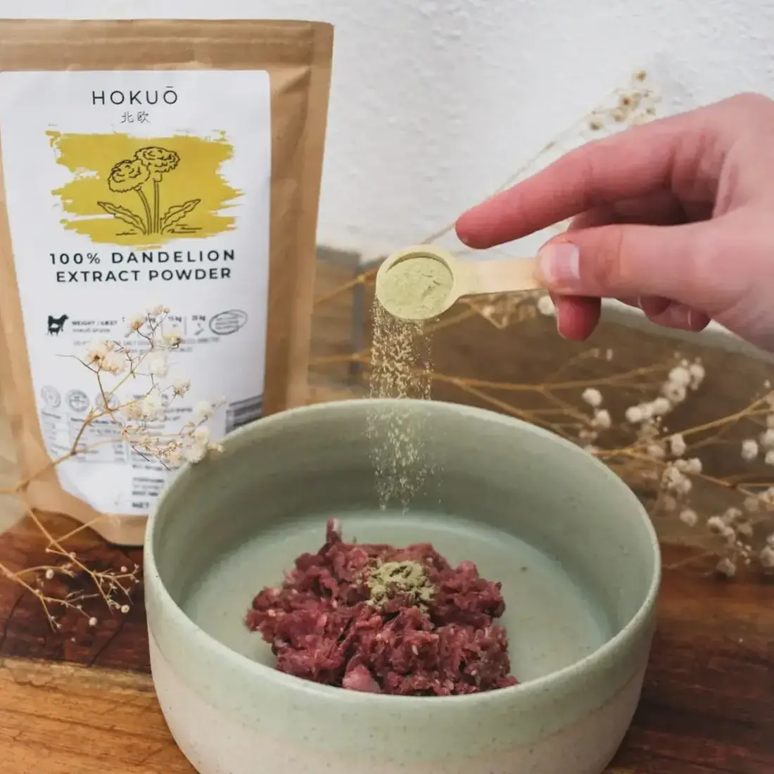 Hokuō® Paardenbloemextractpoeder
