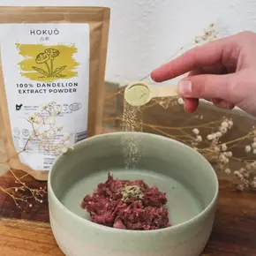 Hokuō® Paardenbloemextractpoeder