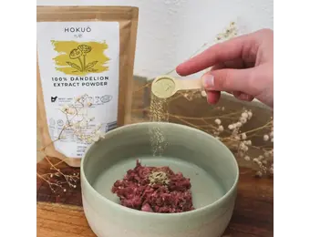 Hokuō® Paardenbloemextractpoeder