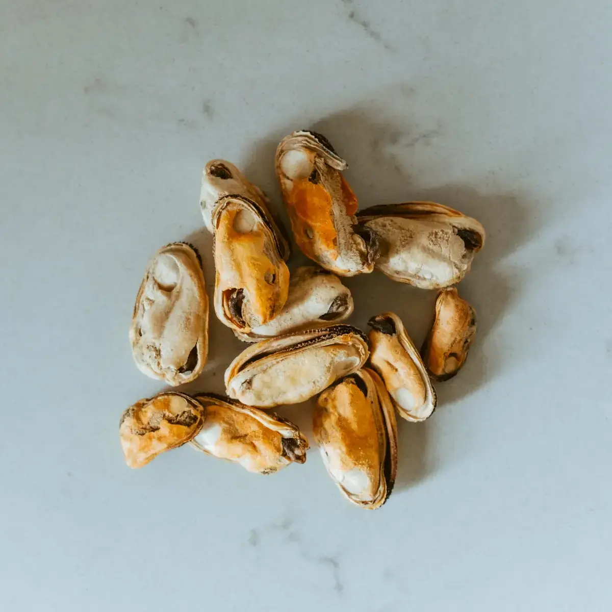 Hokuō® Groenlipmossel