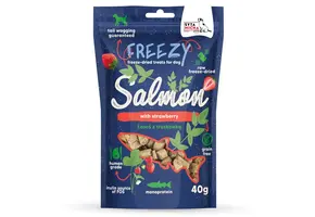 Syta Micha FREEZY Salmon with Strawberry