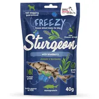 Syta Micha FREEZY Sturgeon with Blueberries