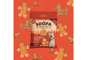Soopa Gingerbread Biscuit Healthy Bites