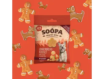 Soopa Gingerbread Biscuit Healthy Bites