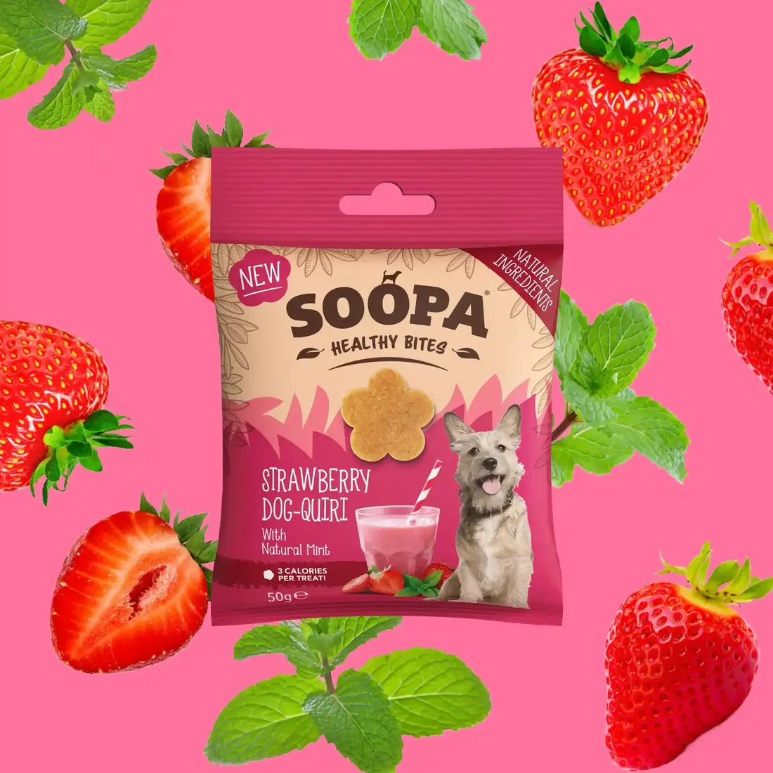 Soopa Strawberry & Dog Quiri Healthy Bites