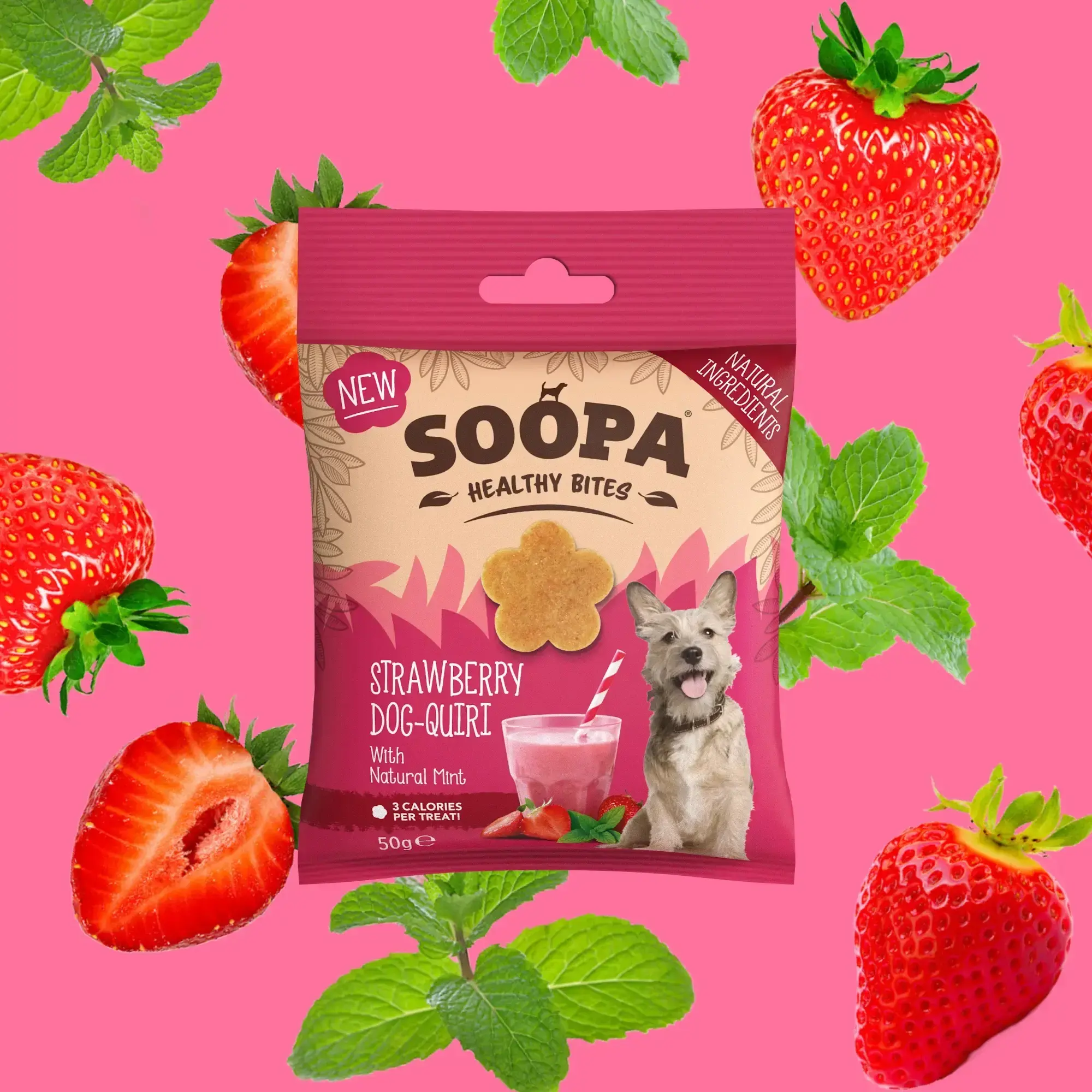 Soopa Strawberry & Dog Quiri Healthy Bites