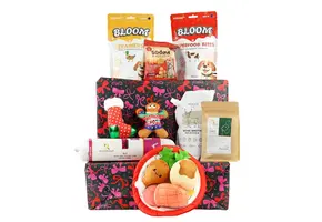 Kerst Cadeaubox DeLuxe S