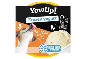 YowUp! Frozen Yogurt Salmon Tartar
