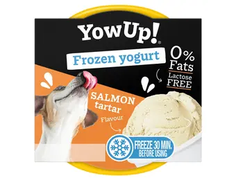 YowUp! Frozen Yogurt Salmon Tartar
