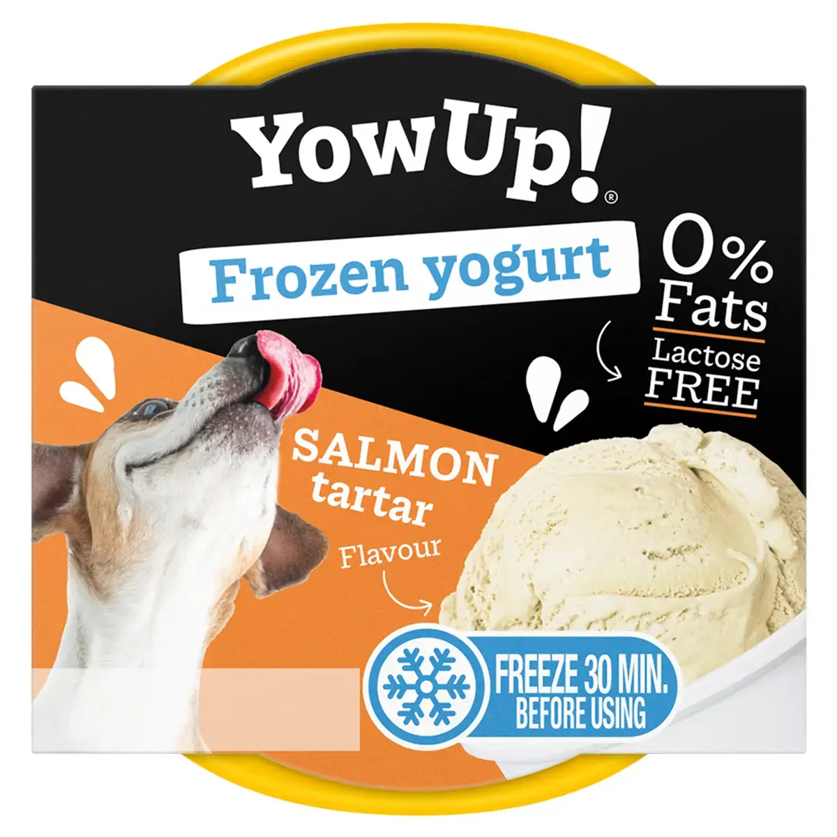 YowUp! Frozen Yogurt Salmon Tartar