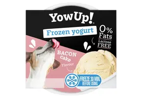 YowUp! Frozen Yogurt Bacon Cake