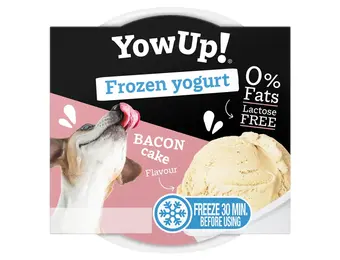 YowUp! Frozen Yogurt Bacon Cake