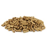 Bloom Trainers Chicken