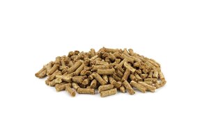 Bloom Trainers Chicken