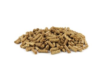 Bloom Trainers Chicken