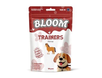 Bloom Trainers Horse