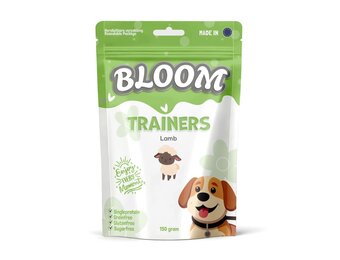 Bloom Trainers Lamb