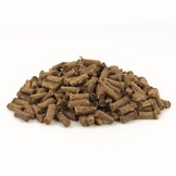 Bloom Trainers Turkey, Pumpkin, Carrot, Sweet Potato