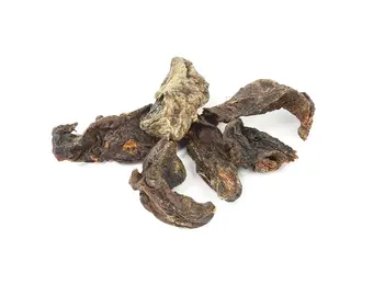 The Pet Loft Paardenhart