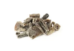 The Pet Loft Geitenpens