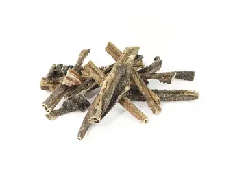 The Pet Loft Lamspens