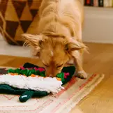 ZippyPaws Snufflerz Roll Sushi