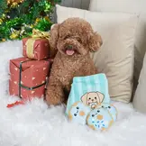 HugSmart Winter Bites – Donuts