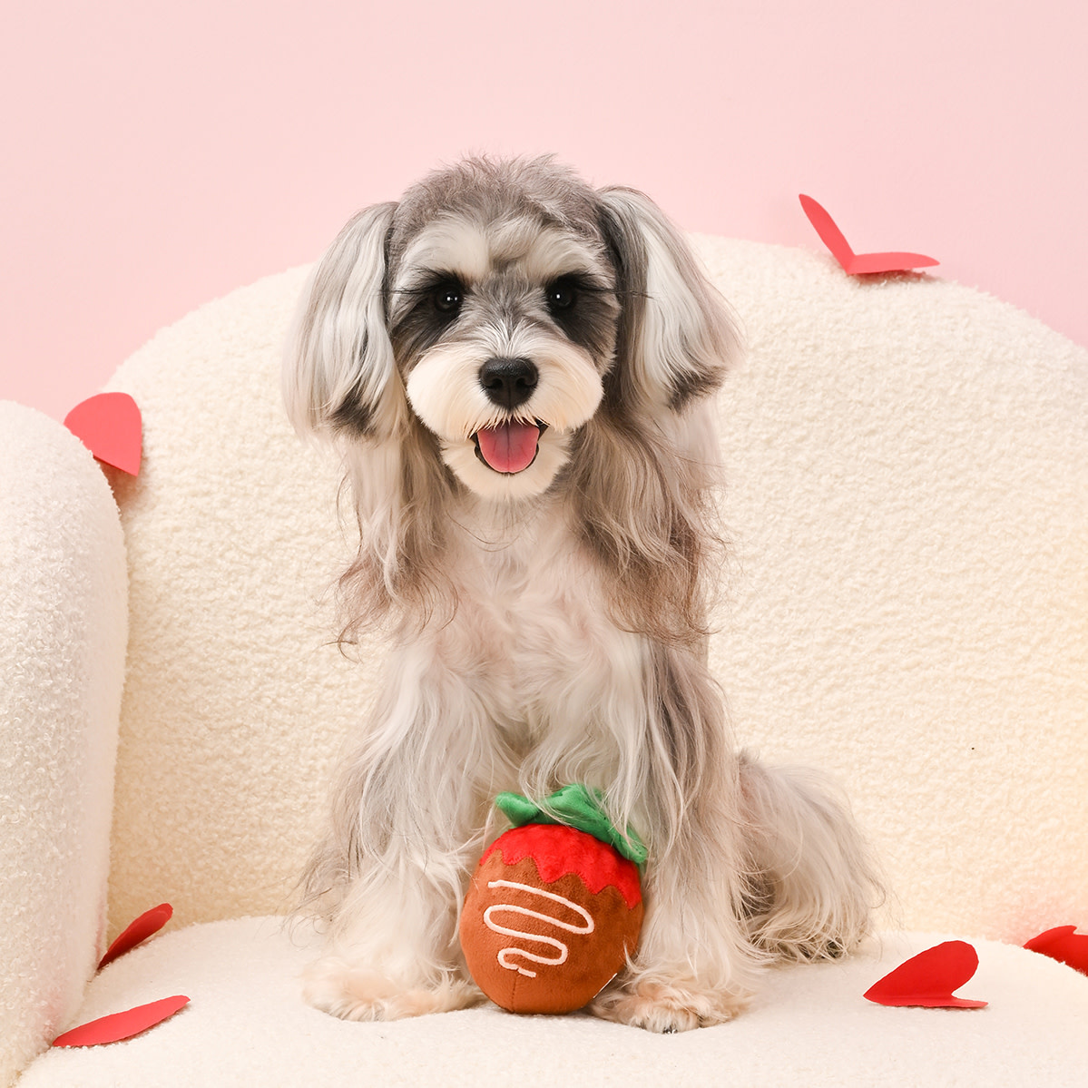 HugSmart Woof Love – Strawberry Chocolate Ball