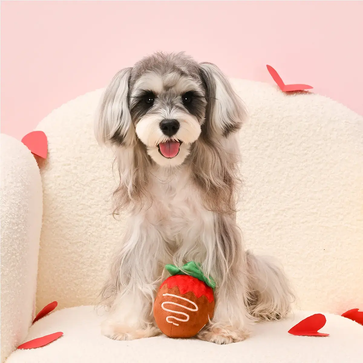 HugSmart Woof Love – Valentines Day Ring