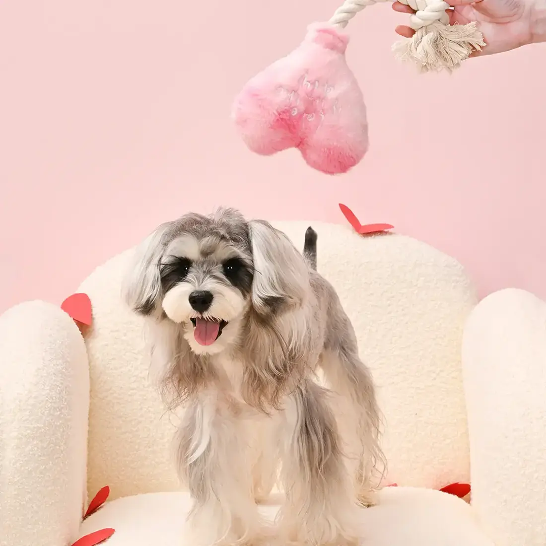 HugSmart Woof Love – Love is in the Air