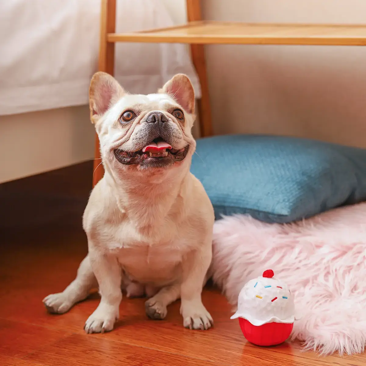 HugSmart Woof Love – Cupcake Ball