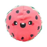 HugSmart Picnic Time – Watermelon Ball