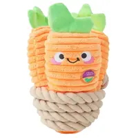 HugSmart Puppy Garden – Carrot Bunch