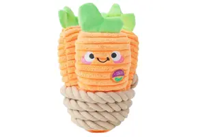 HugSmart Puppy Garden – Carrot Bunch