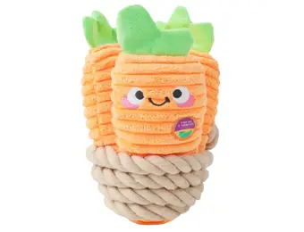 HugSmart Puppy Garden – Carrot Bunch
