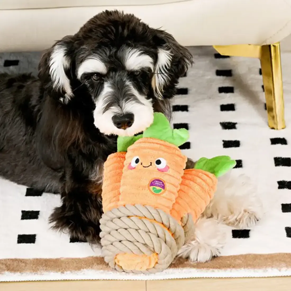 HugSmart Puppy Garden – Carrot Bunch